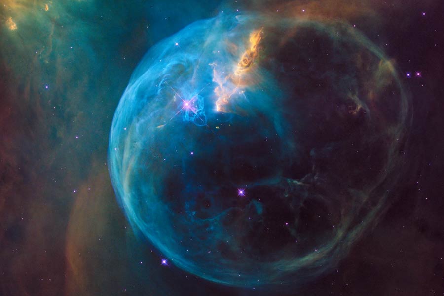 New species of tardigrade found that can resist huge radiation 