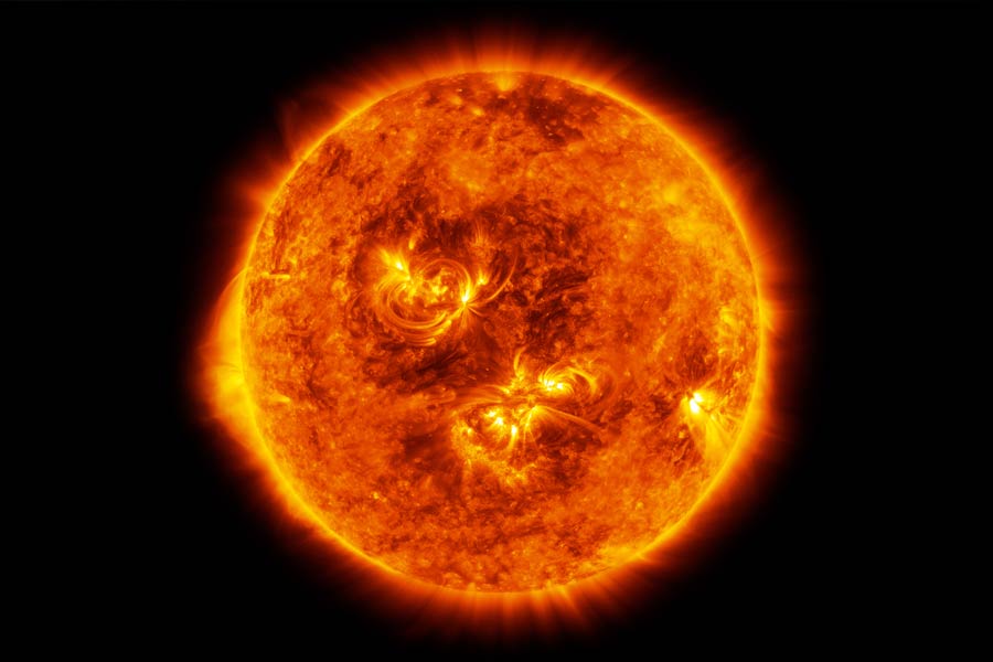 New species of tardigrade found that can resist huge radiation 