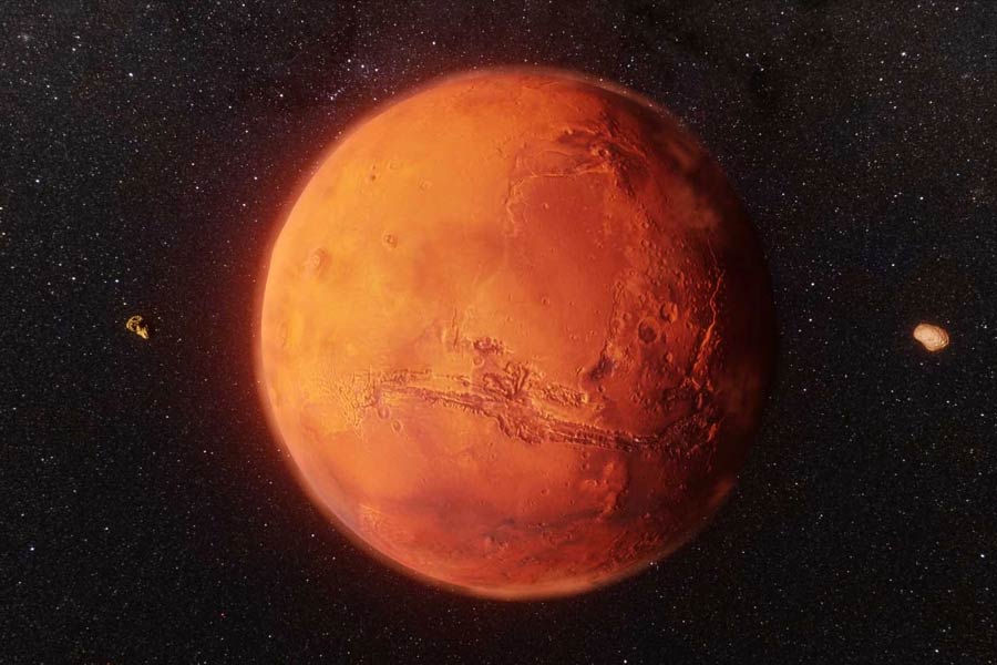 New species of tardigrade found that can resist huge radiation 