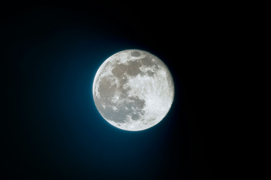 New species of tardigrade found that can resist huge radiation 