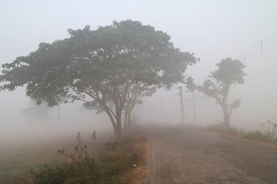 শরৎ থেকে এক লাফে শীত শুরু হয়ে যাবে নভেম্বরের শেষ দিকেই। শীতকাল। বহু বাঙালির প্রিয় ঋতু।