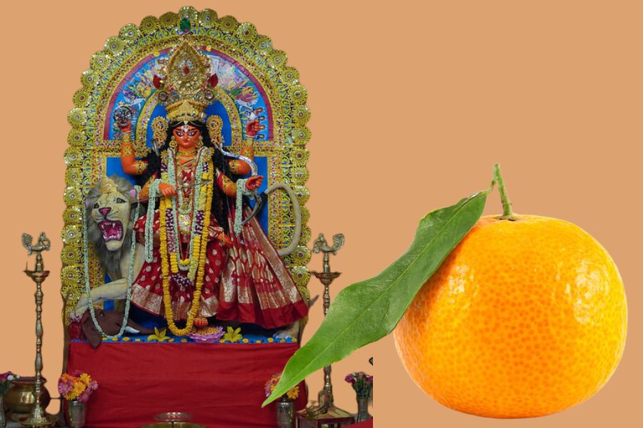 ভাইফোঁটা আর জগদ্ধাত্রী পুজো মেটার সঙ্গে সঙ্গেই যার জন্য মানসিক প্রস্তুতি নিতে শুরু করেন বহু বাঙালি। আর এই শীতপ্রেমীদের শীতের মজা দ্বিগুণ বাড়িয়ে দেয় কমলালেবু। দুপুরবেলা নরম রোদ গায়ে মেখে এই লেবু খাওয়ার মজাই যে আলাদা!