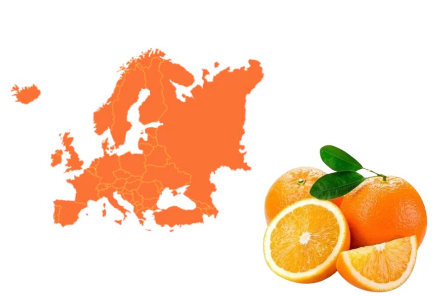 কমলালেবু ইউরোপে ছড়িয়ে পড়ার আগে সে দেশে ‘অরেঞ্জ’ বলে কোনও রং ছিল না। যা ছিল, তা হল হলুদ-লাল বা শুধু লাল। এই বলেই ডাকা হত রংটিকে।