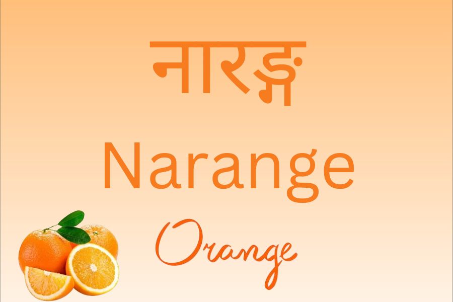 মধ্যযুগে এই সব দেশের দক্ষিণ ভাগে আরবের থেকে আসা মানুষের হাত ধরে ঢুকে পড়ে কমলালেবুও। পোঁতা হয় এই গাছের বীজ। বাড়তে থাকে লেবুর চাষ। নারাঞ্জ থেকেই তৈরি হয় ইংরেজির নতুন শব্দ অরেঞ্জ।