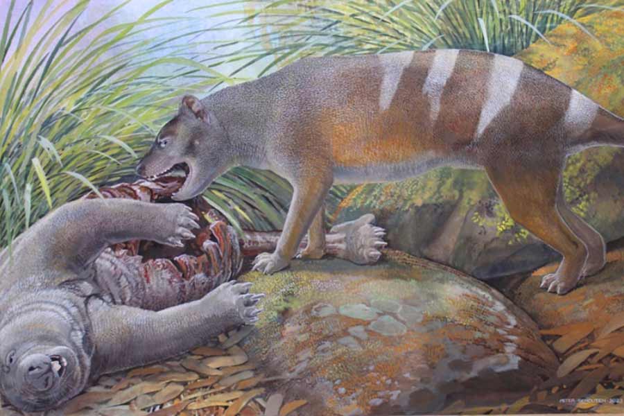 Scientists believe they could soon resurrect Tasmanian tiger 