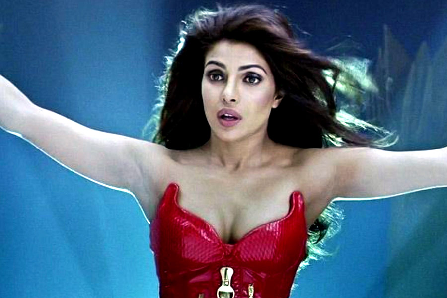 Know about Shah Rukh Khan’s one of the flop film, Priyanka Chopra made cameo, lead actress didn’t work with him