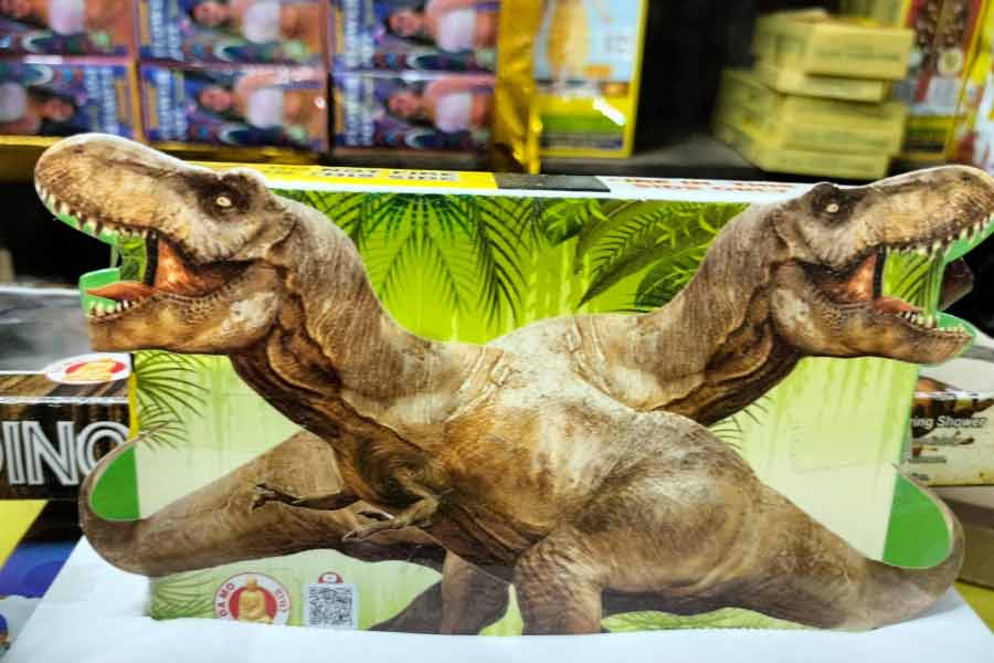 ময়দানের বাজি বাজারে এসেছে নতুন ধরনের  আলোর বাজি।