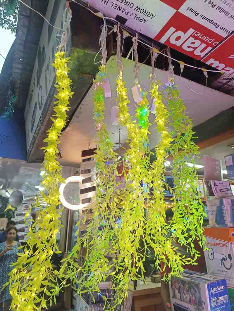 গাছের সারির মতো লতানো আলো। ঘরের এক কোণায় বা সিঁড়িতে লাগালে আকর্ষণীয় লাগবে।