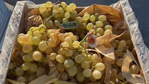 যদি কেউ ১২টাই শেষ করতে পারেন, তাহলে তাঁর আগামী ১২টা মাসই ভাল কাটবে। আর যদি তা না পারেন, তা হলে যে ক’টা শেষ করতে পারবেন— ভাল কাটবে সেই ক’টি মাসই।