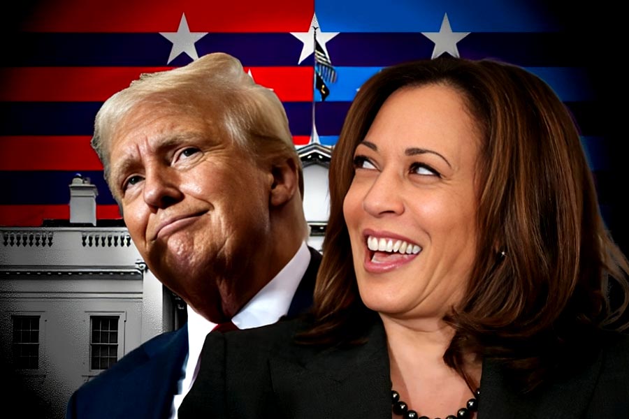 Days ahead of 2024 US presidential elections poll shows Kamala Harris leading Donald trump by one point dgtl