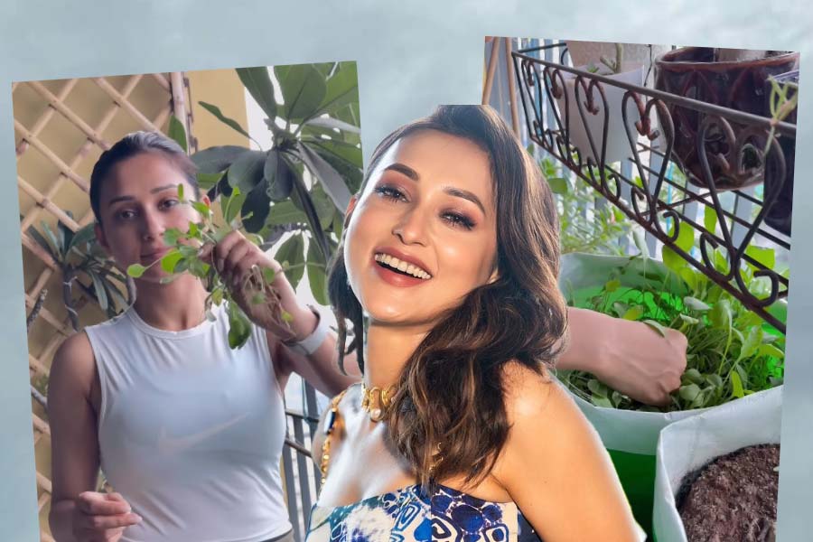 Tollywood actress Mimi Chakraborty cooking spinach which she got from her home garde