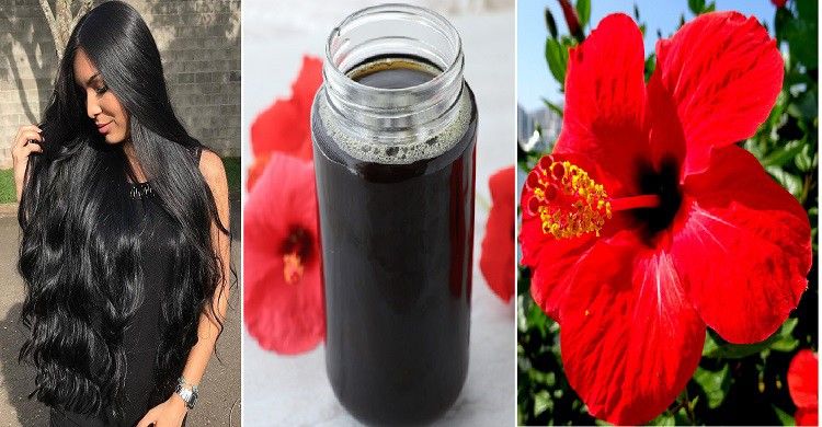 চুলের যত্নে জবা  চুল কালো করতে জবা ফুল খুবই কার্যকরী। বাদামের মতো এটিও দ্রুত চুলের দৈর্ঘ্য বাড়াতে সহায়ক। এই ফুলের সাহায্যে প্রাণহীন চুল পুষ্টি পায় এবং মেরামত করা যায় রোদে ক্ষতিগ্রস্ত চুল। জবা ফুলের তেলও চুলের জন্য বিশেষ উপকারী। এটি চুলের অকাল পক্কতা ঠেকায়। এর পাশাপাশি চুল পড়া রোধেও এটি গুরুত্বপূর্ণ। জবার পাপড়ি কন্ডিশনার এবং ময়শ্চারাইজার হিসেবেও ভাল কাজ করে। 