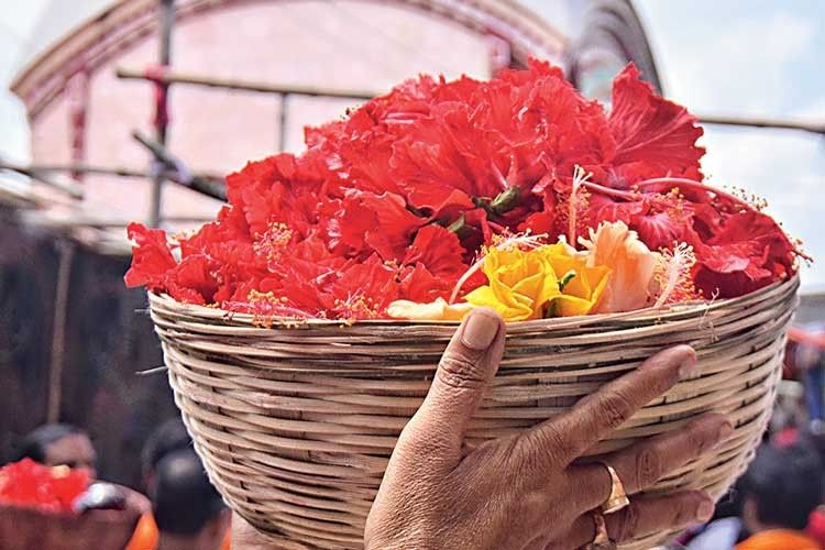 পুজোর অপরিহার্য বলে এমনিতেই সুনাম ছিল। এমন উপকারিতার খবরে আপনার বাড়ির জবা ফুলের কদর আরও একটু বেড়ে গেল, তাই না?  