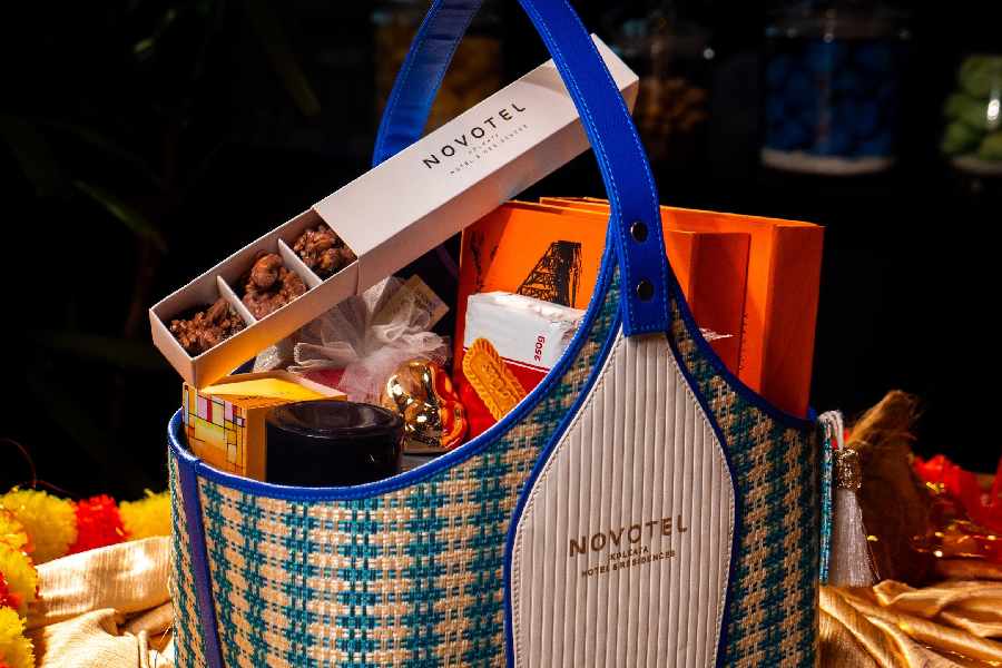 ছবি: নভোটেল।