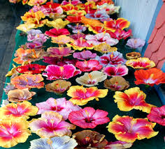 দেখতে যেমন সুন্দর, তেমন এই ফুল উপকারীও কিন্তু! সে খবর জানা আছে কি? পুজো ছাড়াও আর কী কী কাজে লাগতে পারে জবা ফুল, কালী পুজোর ঠিক আগে রইল তার সুলুক সন্ধান। 