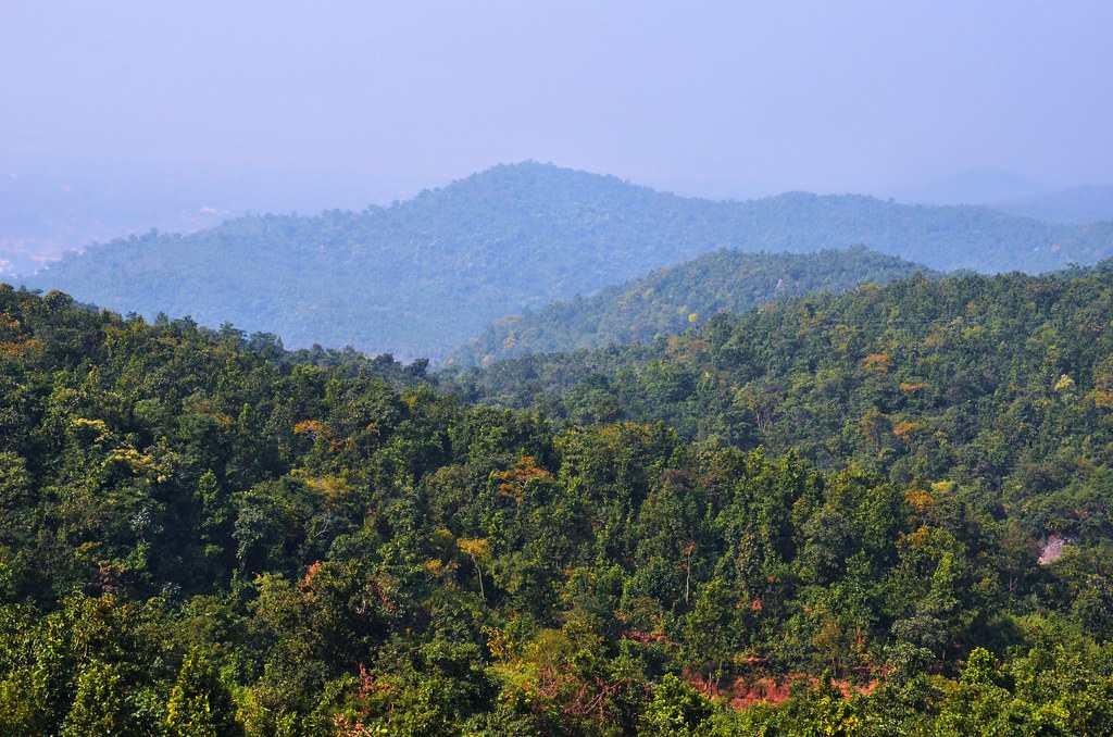 ফাঁড়ি থেকে কিছুটা এগিয়ে জঙ্গলে ঘেরা দুর্গম পাহাড়ি এলাকা। জনমনিষ্যি নেই বললেই চলে। 