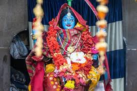 বাঁশবেড়িয়ার দেবী হংসেশ্বরীর মন্দিরের প্রতিমা।