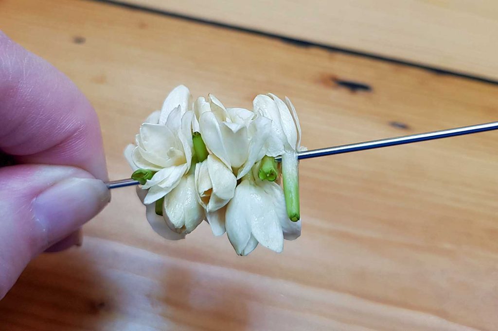 মালিনী মাসি বলেন রোজ রাজকন্যা বিদ্যা নিজে হাতে এই মালা গাঁথেন। তখন থেকেই পূজারী রাজকন্যাকে একটি বার দেখার জন্য ছটফট করতে থাকেন। মালিনী মাসি বলেন, তাঁর সঙ্গে দেখা করা সম্ভব নয়, কারণ তিনি রাজকুমারী। 