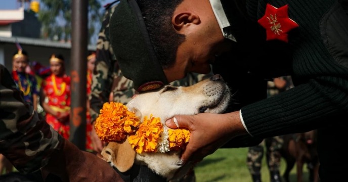 এই উৎসবের সঙ্গে দু’টি পৌরাণিক কাহিনি যুক্ত রয়েছে। নেপালিরা বিশ্বাস করেন, কুকুর ভগবান ভৈরবের বাহন। ভগবাব ভৈরবকে খুশি করতেই এই বিশেষ তিথিতে কুকুরের পুজো করা হয়।
