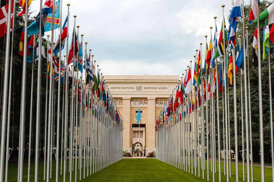 আন্তর্জাতিক স্তরে শান্তি ও নিরাপত্তা রক্ষা করা, নিষেধাজ্ঞা জারি করা এবং সামরিক পদক্ষেপের অনুমোদন দেওয়া ইউএনএসসির মূল কাজ। রাষ্ট্রপুঞ্জের সনদে যে কোনও পরিবর্তন অনুমোদন করার ক্ষমতাও রয়েছে এই পরিষদের হাতে।