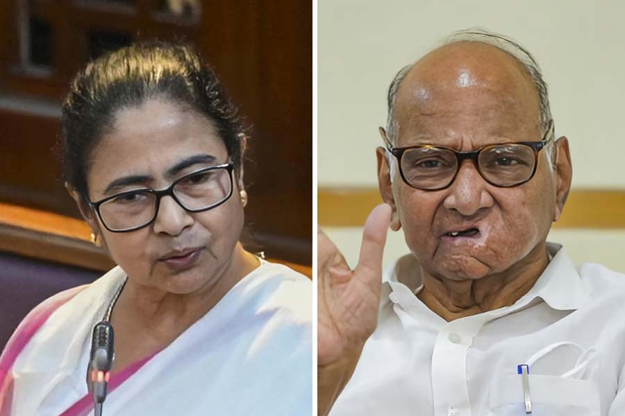 Sharad Pawar has pitched for West Bengal-like anti-rape bill in Maharashtra, TMC Said Bengal Shows The Way