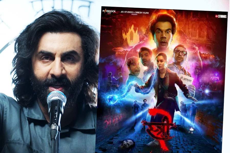 Stree 2’s box office collection crossed Animal’s box office collection