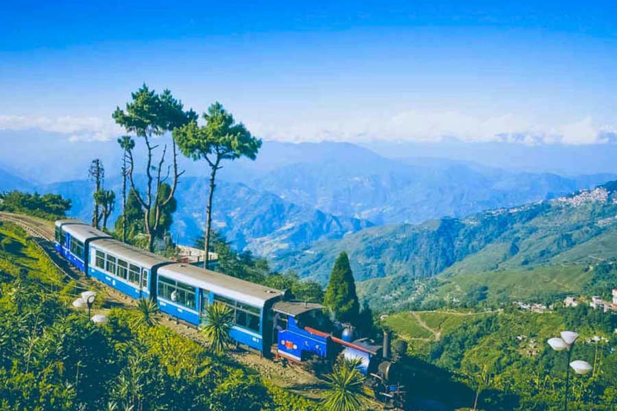 অফিসের কাজের শেষে ঘুরে নিতে পারেন চা-বাগানেও।