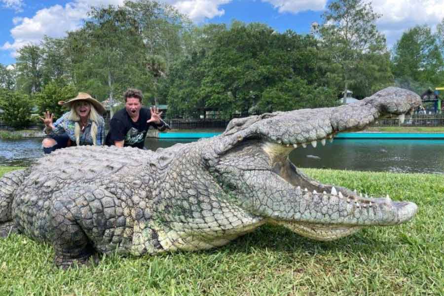 World’s largest living crocodile Henry, has six wives and 10 thousand children