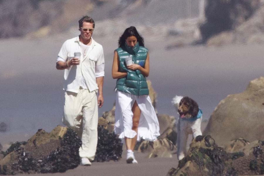 Meet Brad Pitt's glamorous girlfriend Ines de Ramon 