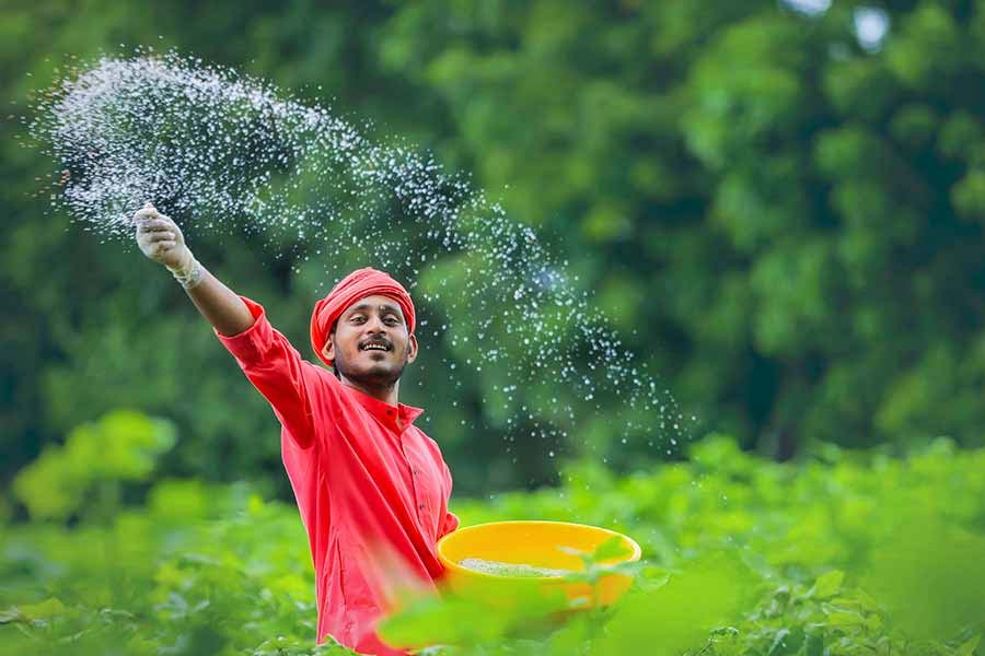 Current situation of Indian Economy report of World Bank GDP Chinese economy