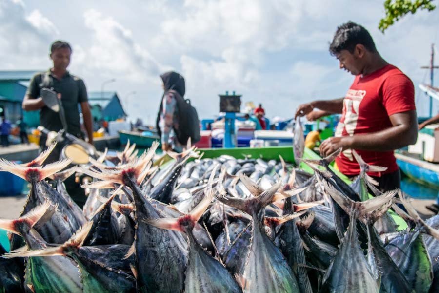 Traders dump Maldives debt amid growing default risks 