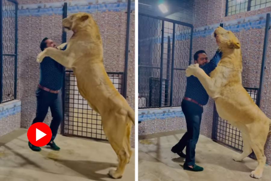 Pakistani man hugs lioness, video went viral