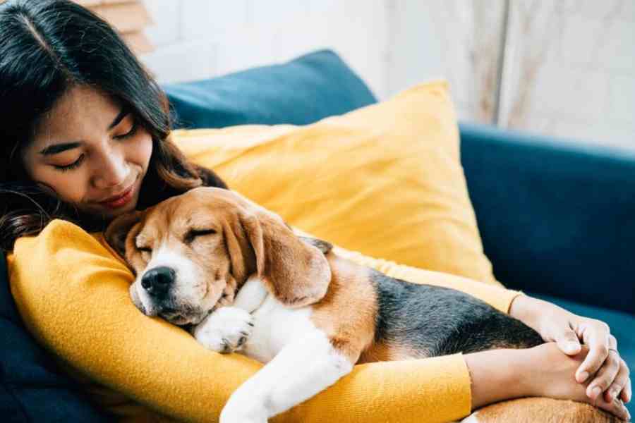 Tips to cope with Pet Allergies