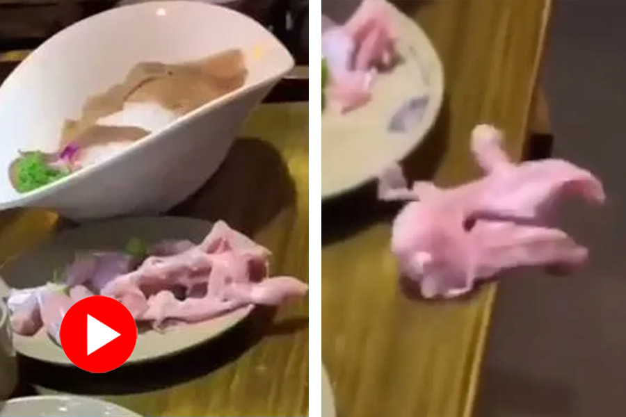 Viral video of raw meat crawl out of the plate in a restaurant