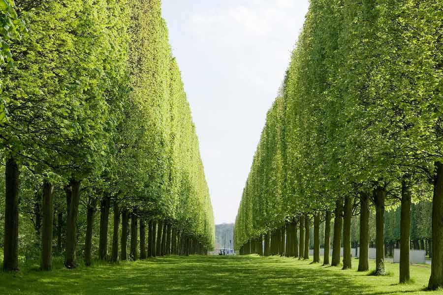 Why people choose Luxemburg to live their dream life