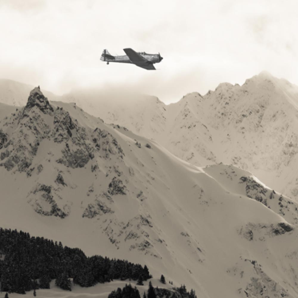 All needs to know about Alaska Triangle dgtl