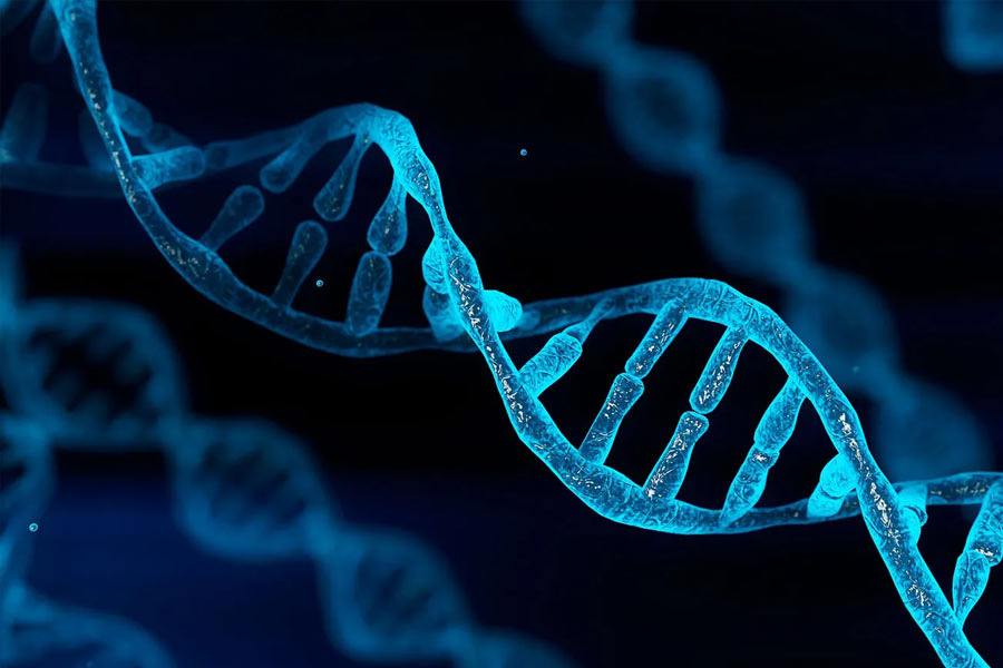 All needs to know about Alaska Triangle dgtl