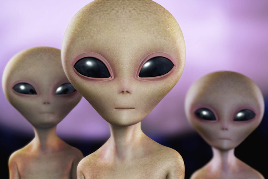 All needs to know about Alaska Triangle dgtl