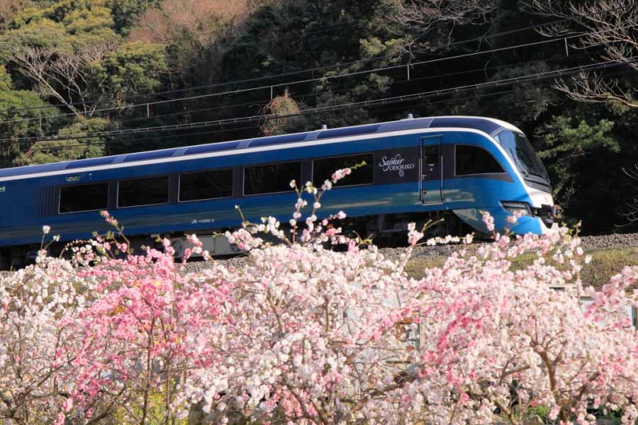 স্থানীয় সময় অনুযায়ী প্রতি দিন সকাল ১১টা নাগাদ জাপানের টোকিয়ো শহর থেকে ছাড়ে ‘স্যাফায়ার ওদোরিকো’। বিলাসবহুল এই ট্রেনের গন্তব্যস্থল জাপানের ইজ়ু শহর। টোকিয়ো থেকে শেষ গন্তব্যস্থলে পৌঁছতে সময় লাগে আড়াই ঘণ্টা।