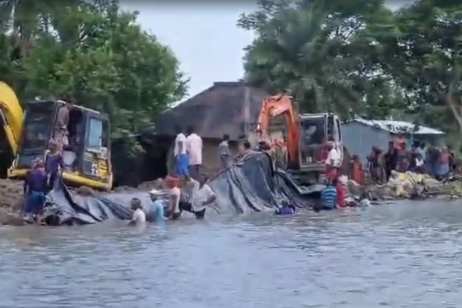 গোসাবায় চলছে বাঁধ মেরামতির কাজ।