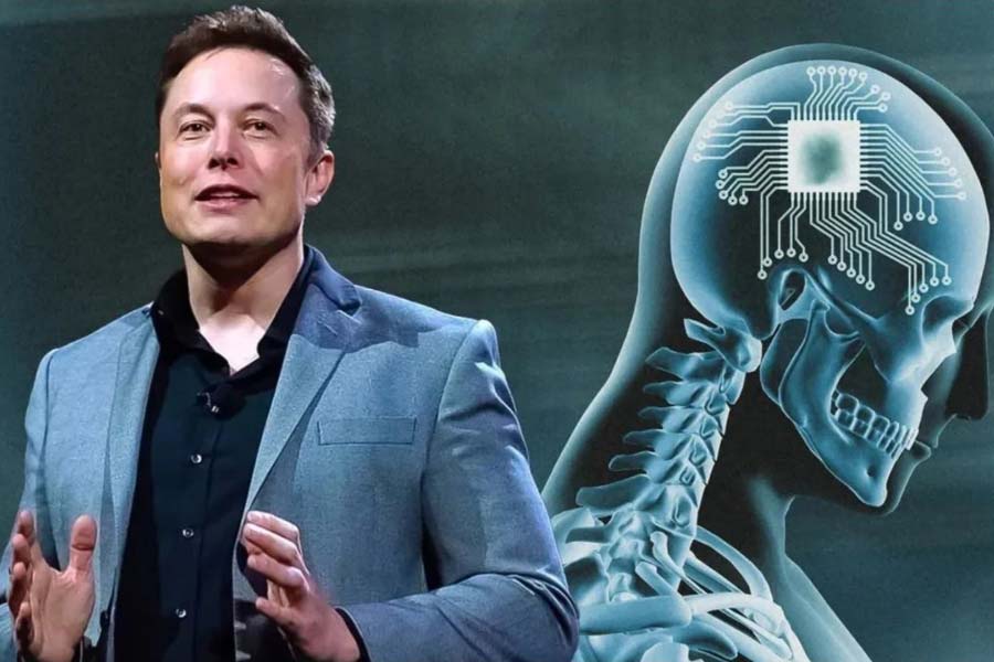 How many companies does Elon Musk own