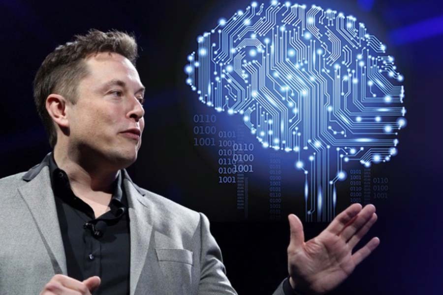 How many companies does Elon Musk own