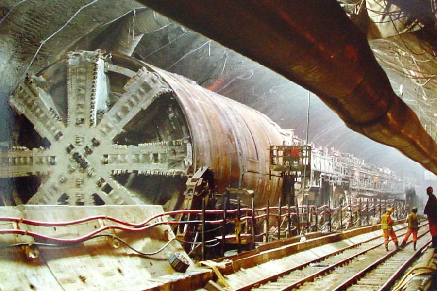 How many companies does Elon Musk own