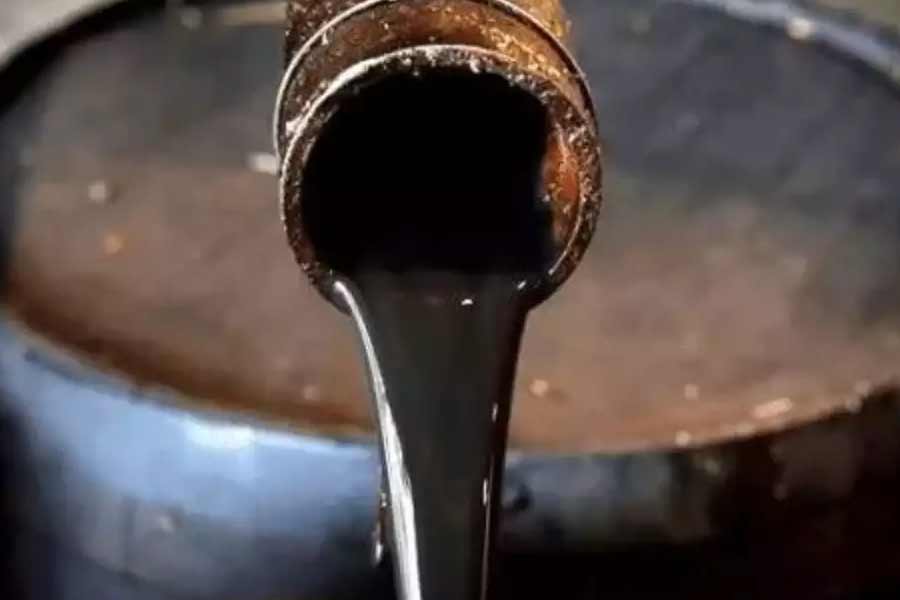 Massive oil, gas reserves found in Pakistan coast according to media 