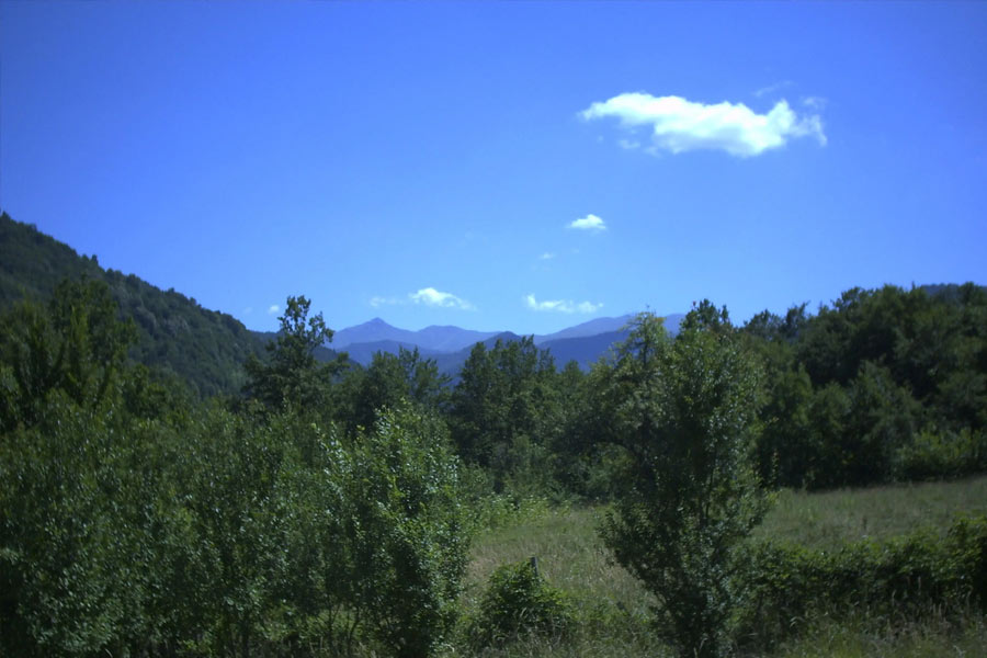 Pakistan Foreign ministry spokesperson about country stance on Junagadh issue