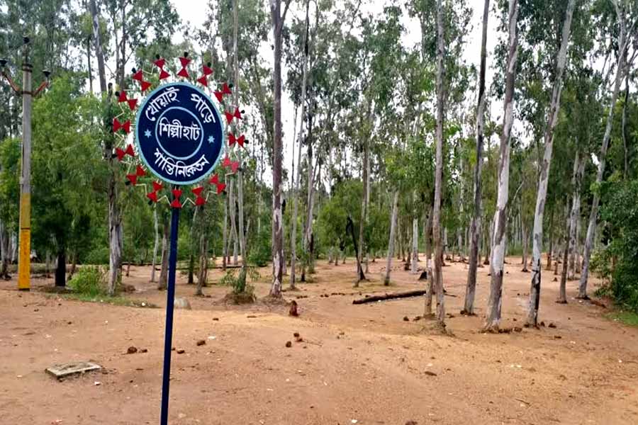 Khoai forest getting decreased environmentalist not happy