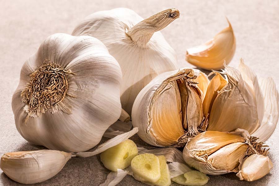 Garlic