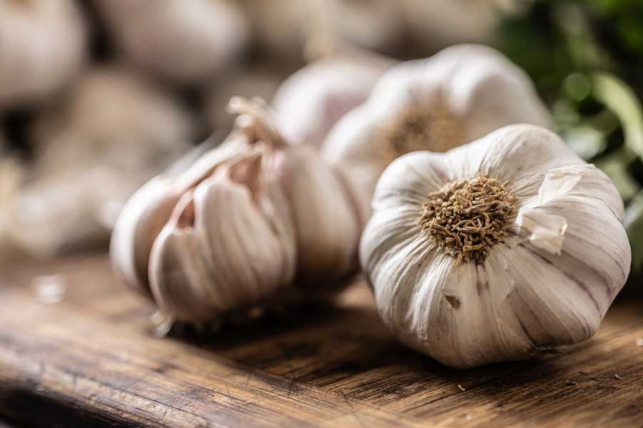 Garlic