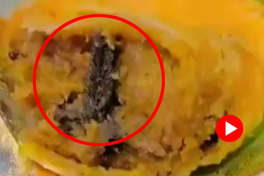 Man finds frog leg in samosa at Ghaziabad sweet shop