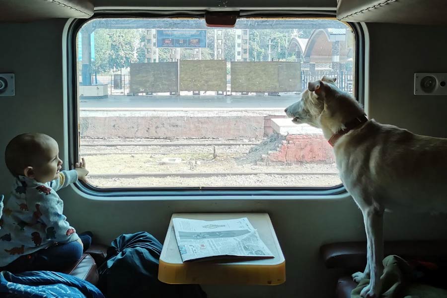 Indian Railways  rules  and guidelines for travelling with pets